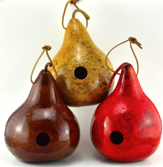 Leather Dyed Birdhouses