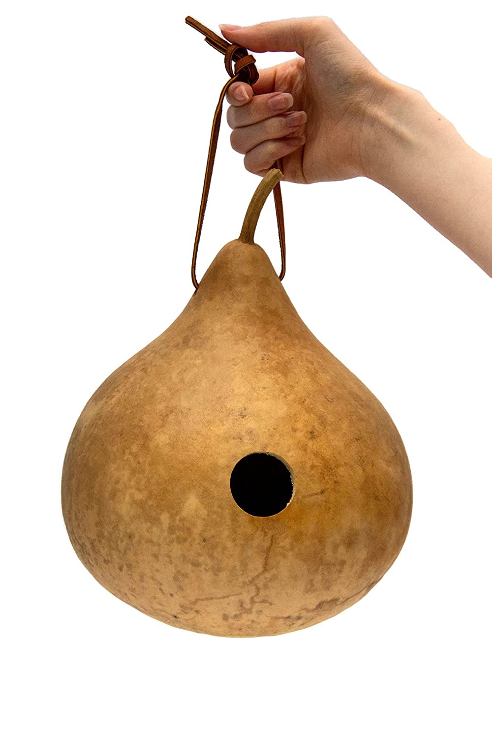 Gourd Wren House Unfinished Sale - Box of 3