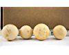 Dried Gourds for Crafting