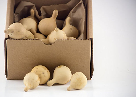 Dried Gourds for Crafting