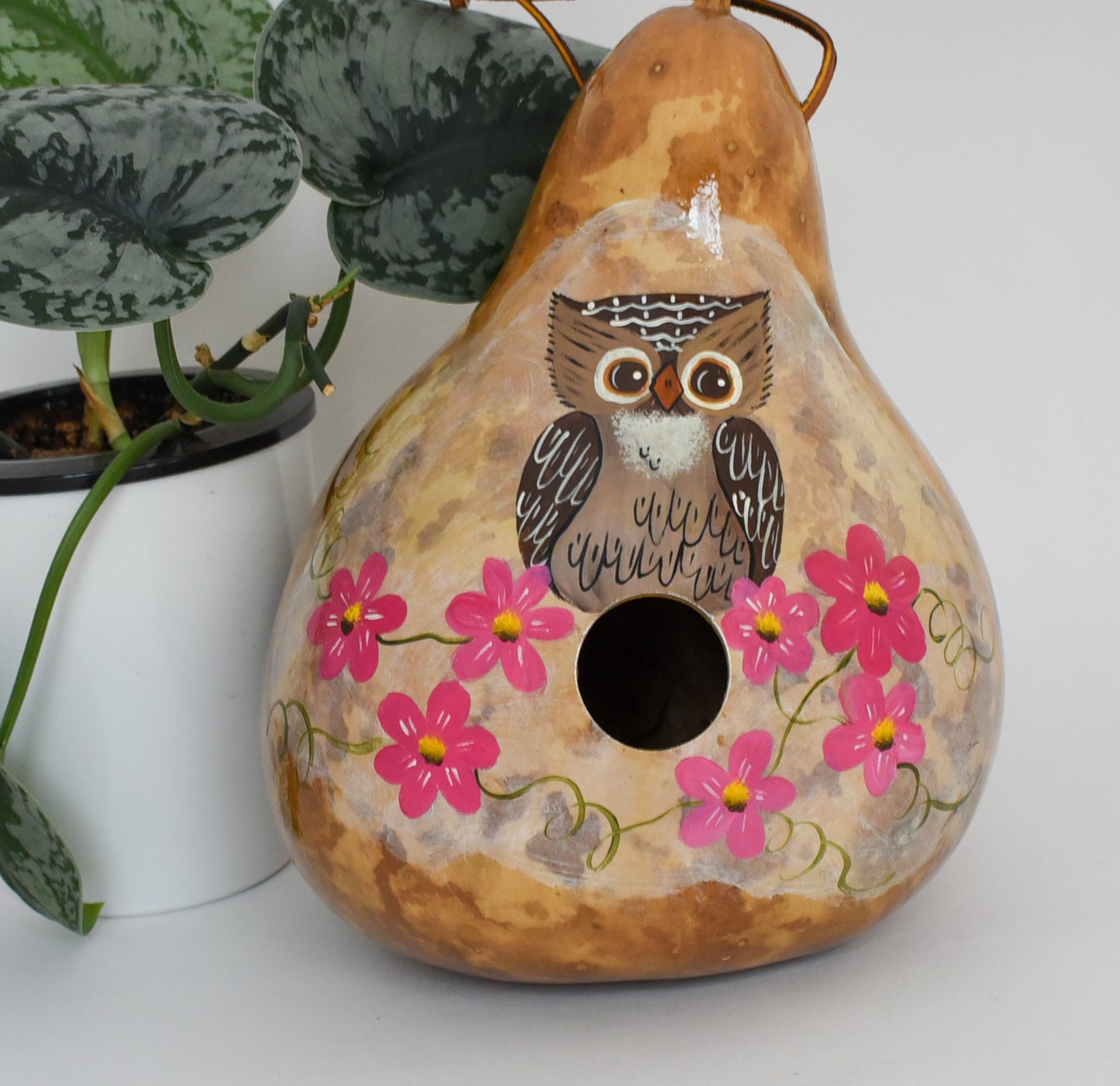 Owl Birdhouse Gourd Art for Your Garden