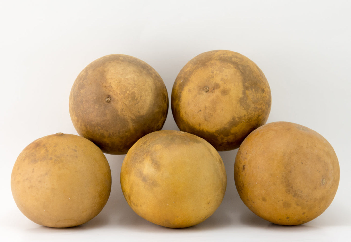 Cannon Ball Gourds, Box of 5, washed and ready - Gourdaments