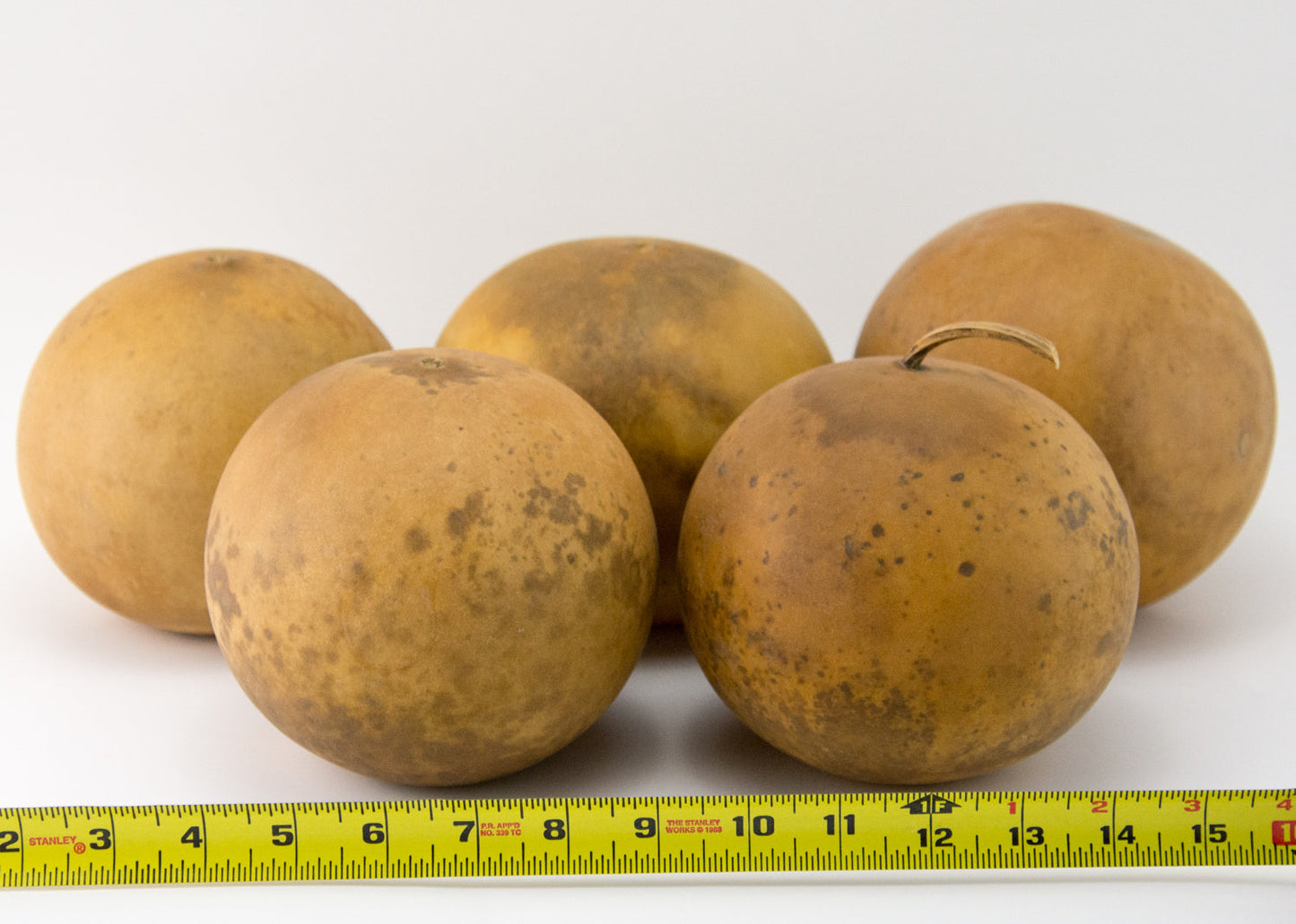 Cannon Ball Gourds, Box of 5, washed and ready - Gourdaments