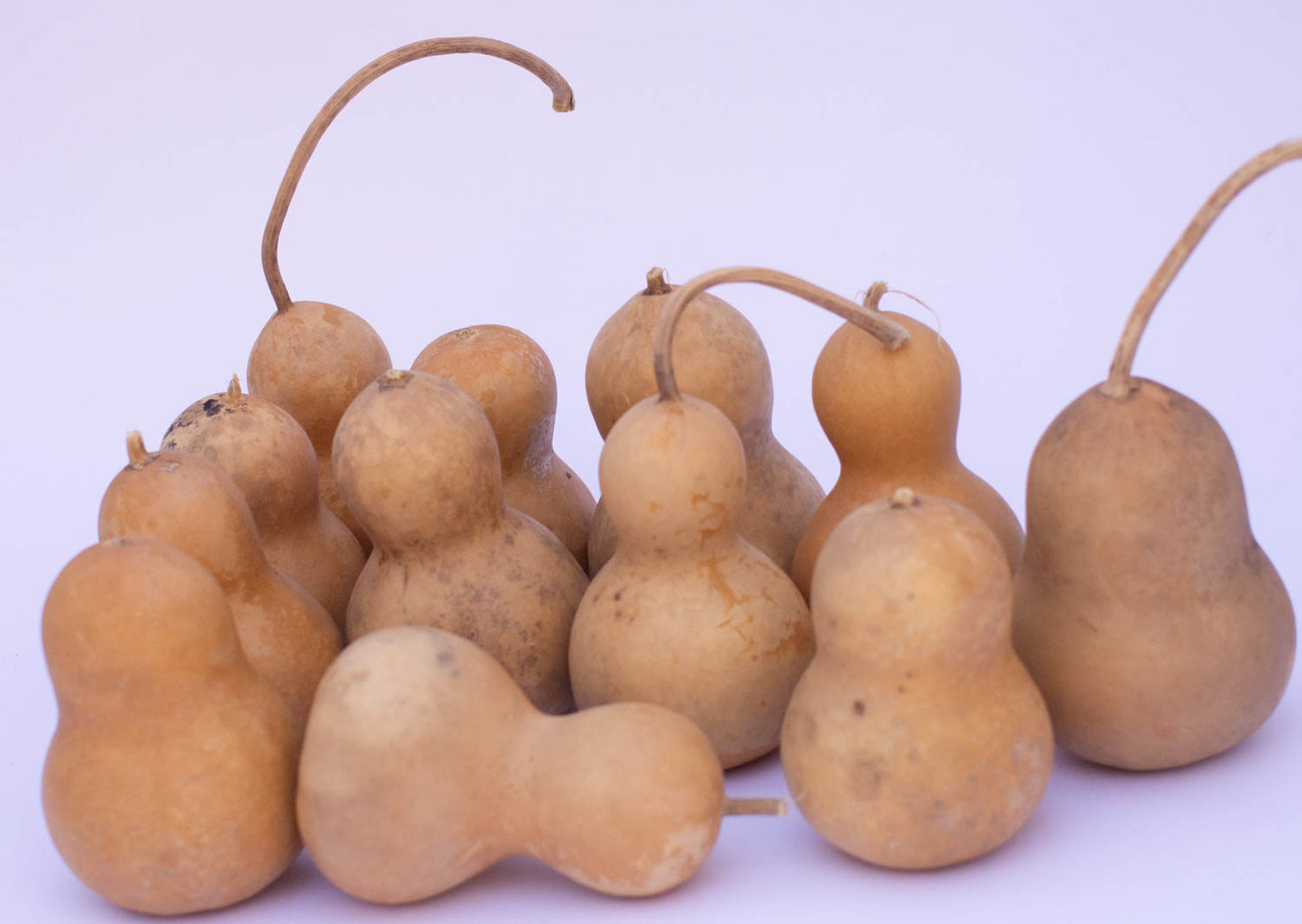 Gourd Ornament Assortment - Box of 20