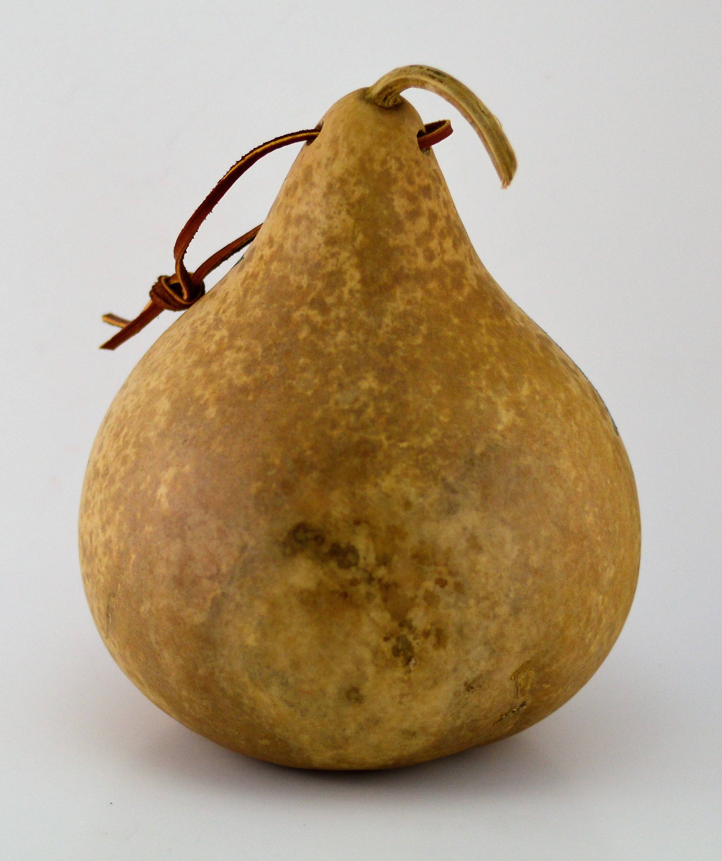 Birdhouse, Gourd Art, Natural Garden, Garden Art, Wren House, Robin, Bird Lover, Functional Art, Folk Art, Outdoor Decoration, Yard art - Gourdaments