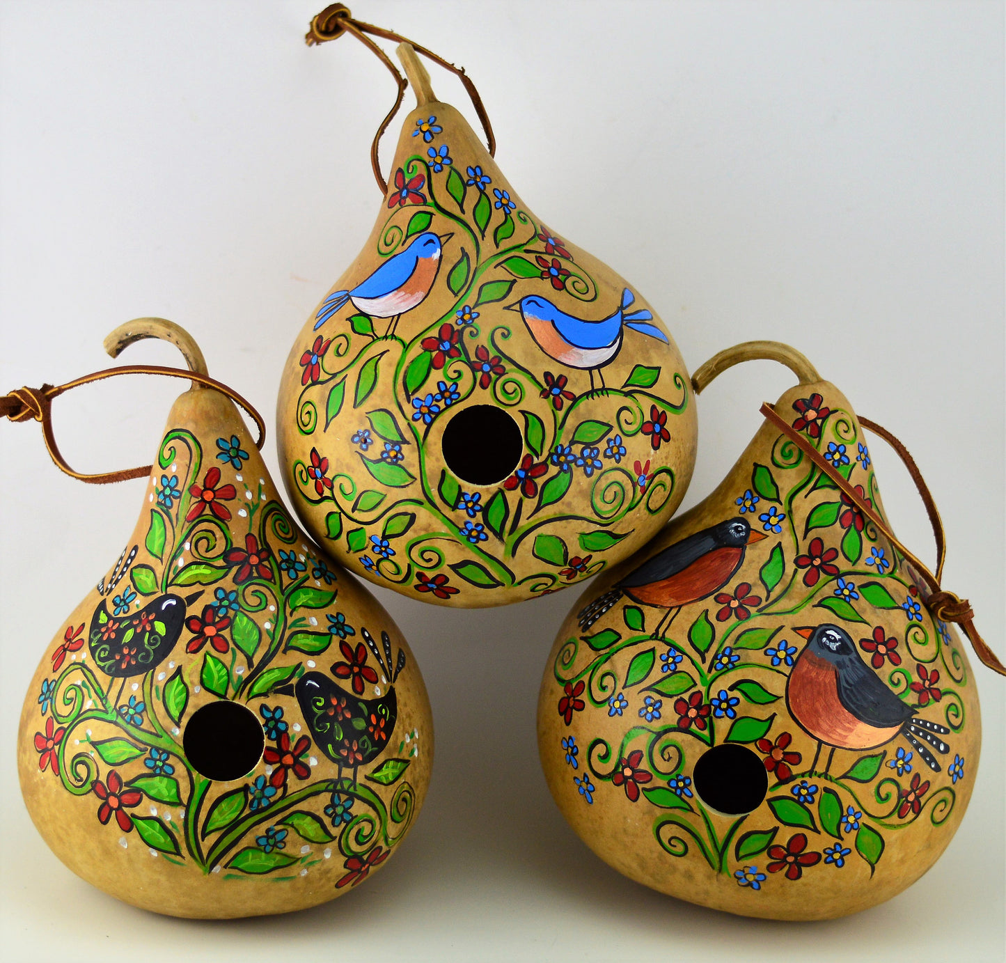 Birdhouse, Gourd Art, Natural Garden, Garden Art, Wren House, Robin, Bird Lover, Functional Art, Folk Art, Outdoor Decoration, Yard art - Gourdaments