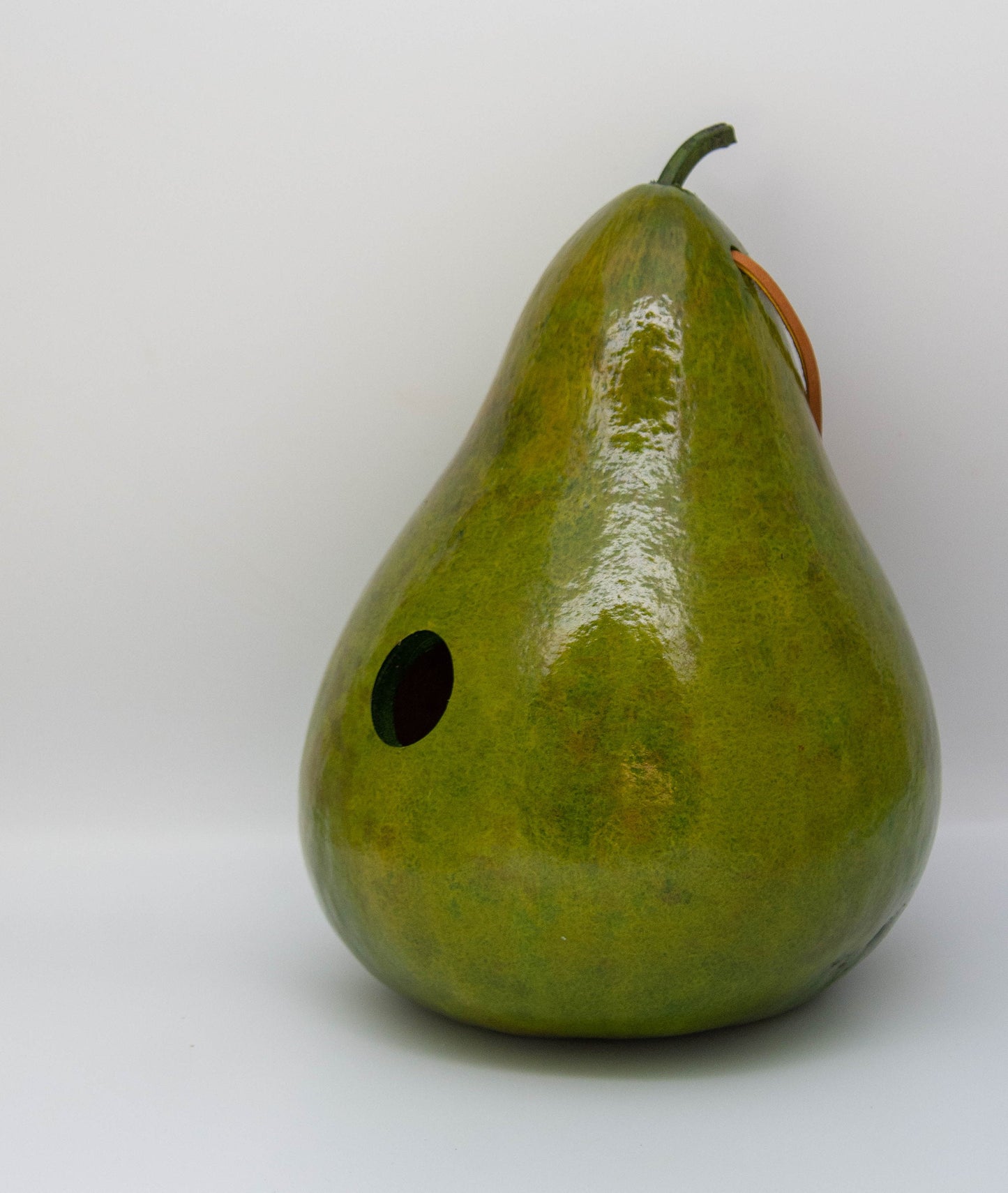 Painted Gourd Birdhouse for Sale