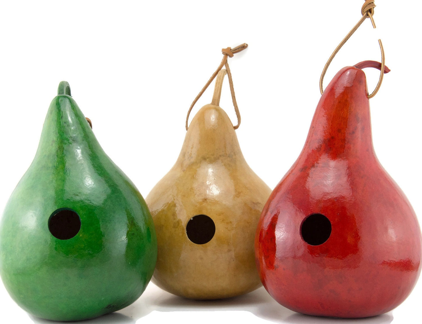 Gourd Birdhouses Handmade
