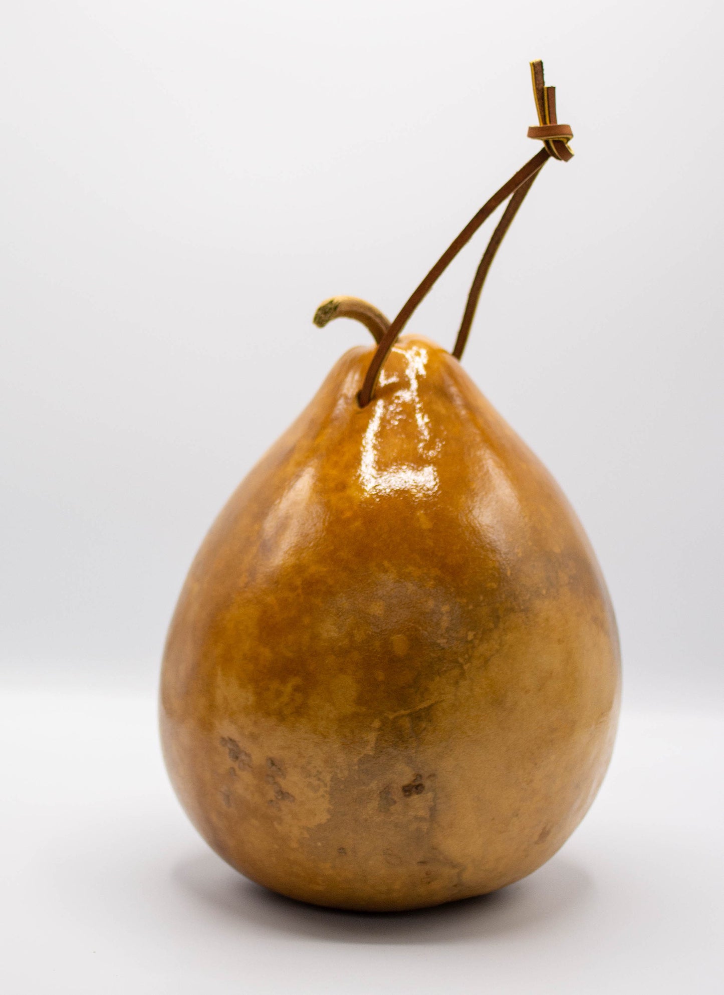 Gourd Birdhouse - Natural Birdhouse - Gift for Mom and Dad