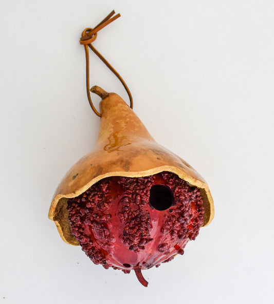 Gourd Birdhouse - Cottage Style -  Perfect for Birdlovers -  Mother's Day