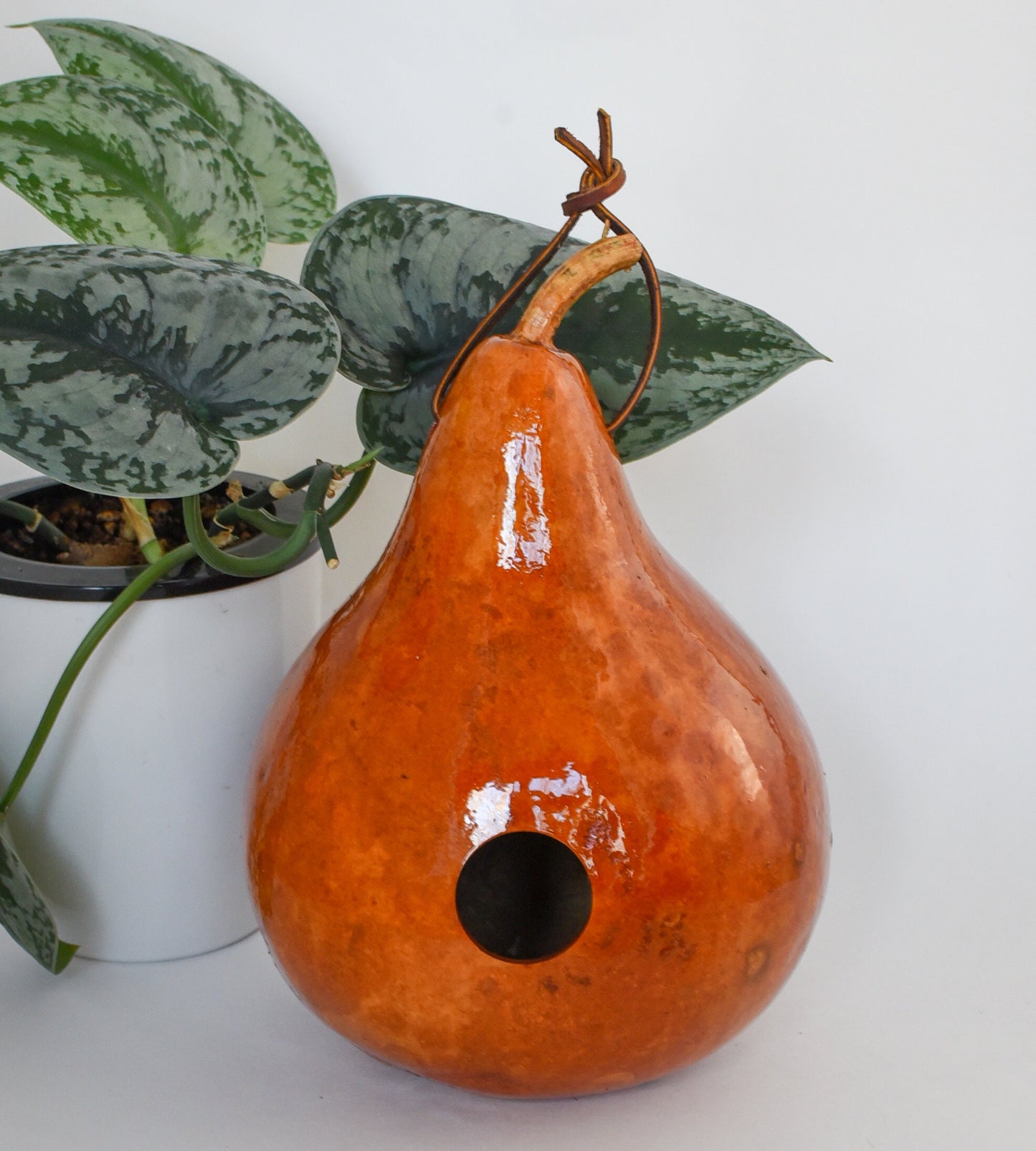 Birdwatching Gifts, Birdhouses Décor, Gourd Bird House, Garden Décor Outdoor, Set of 3, Red, Tan, Purple - Unique Mom Gift
