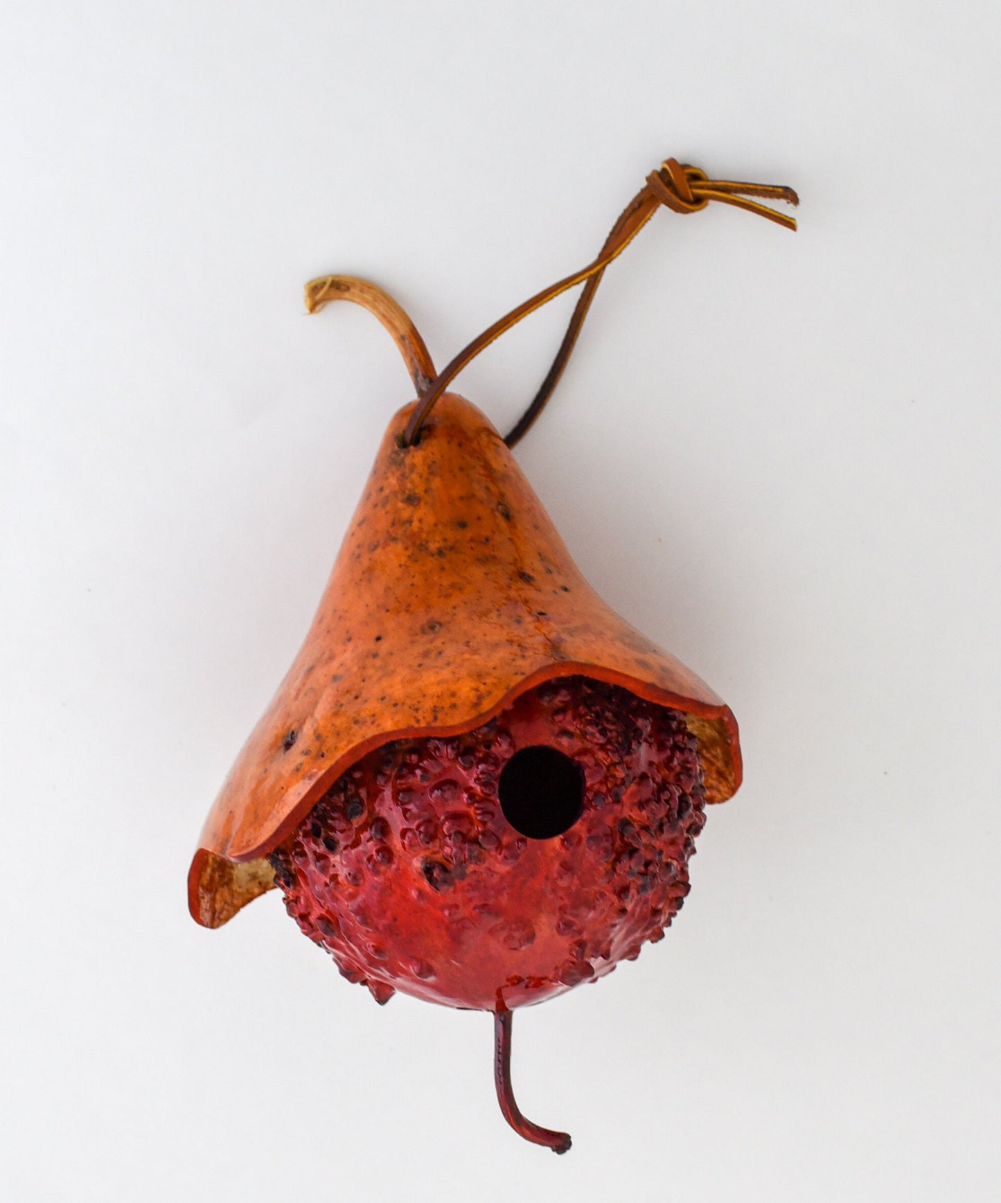 Gourd Birdhouse - Cottage Style - Perfect for Birdlovers - Mother's Day
