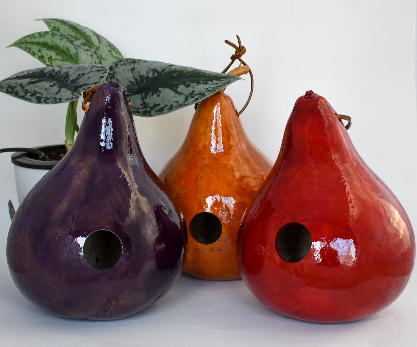 Birdwatching Gifts, Birdhouses Décor, Gourd Bird House, Garden Décor Outdoor, Set of 3, Red, Tan, Purple - Unique Mom Gift