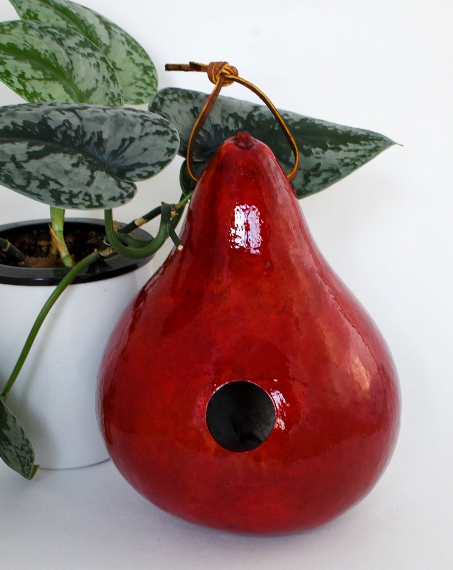 Birdwatching Gifts, Birdhouses Décor, Gourd Bird House, Garden Décor Outdoor, Set of 3, Red, Tan, Purple - Unique Mom Gift