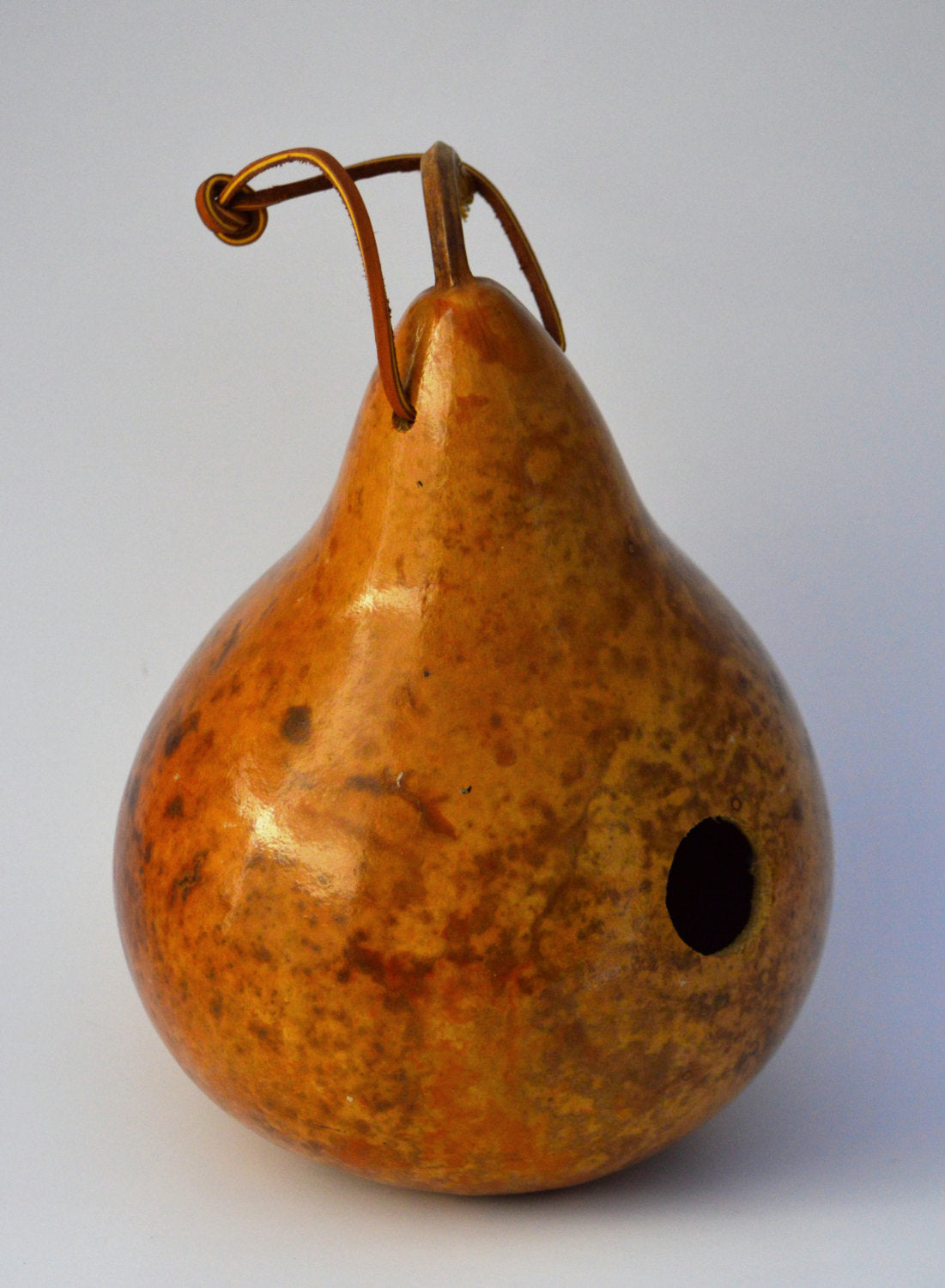 Gourd Birdhouse, Natural Design, bird nest, gift for grandma,bird lover gift, bird watcher gift, birdhouse handpainted, gift - Gourdaments
