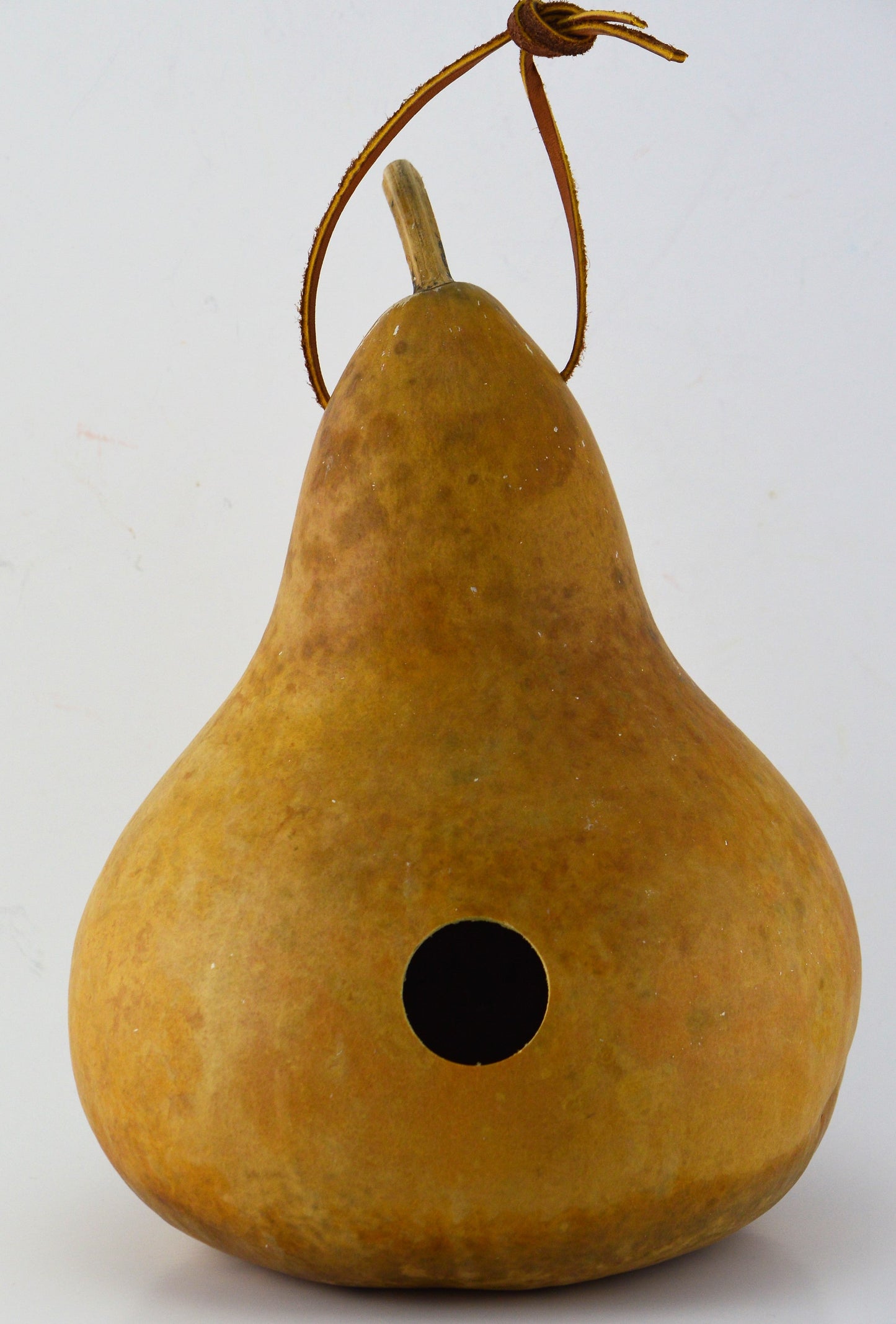 Gourd Birdhouse Unfinished and Ready to Craft DIY Sustainable Craft Project