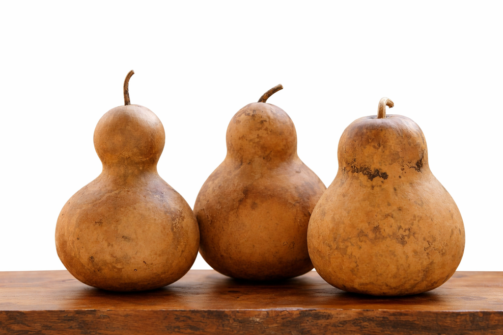 Natural dried Chinese bottle gourds in various sizes for crafting and décor
