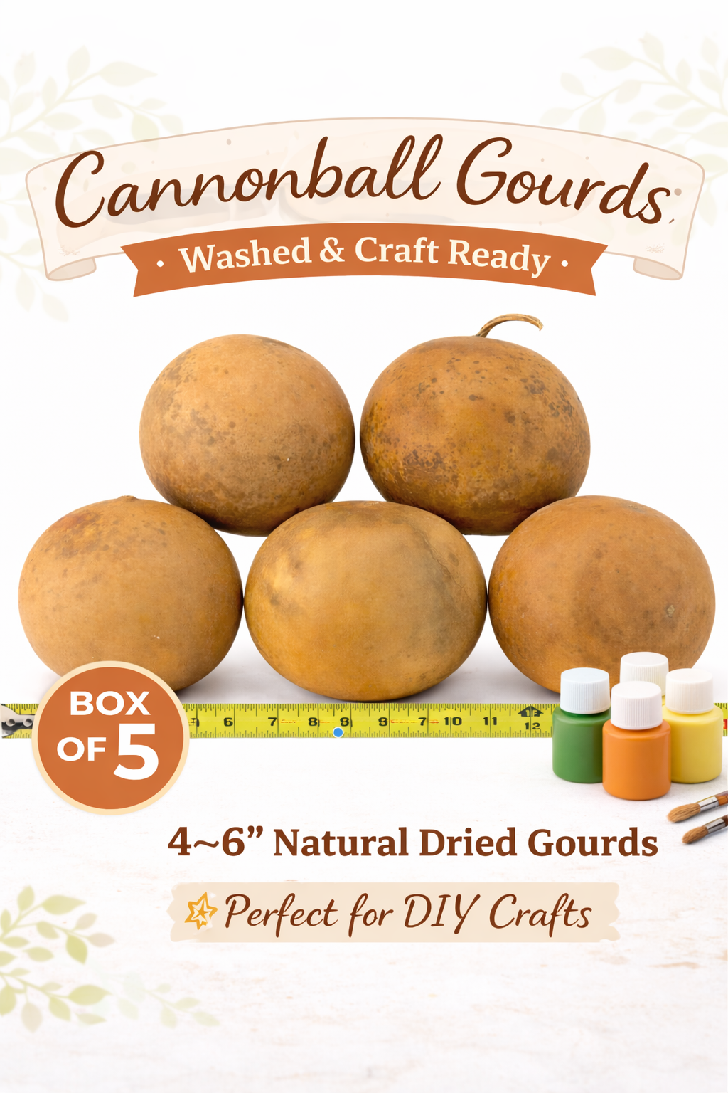 Cannonball Gourds – Washed & Craft Ready (5, 10 or 20 Pack)