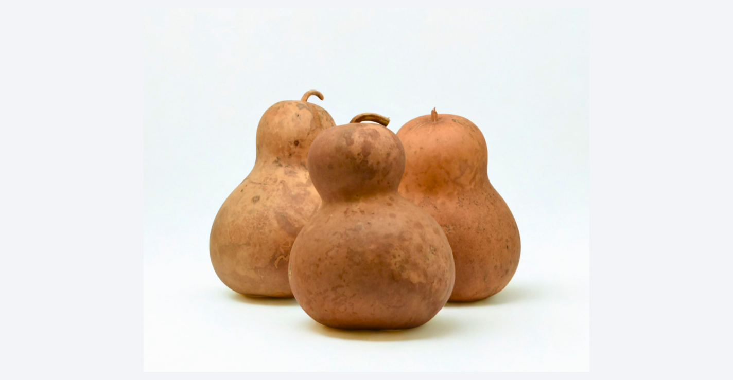 Natural dried Chinese bottle gourds in various sizes for crafting and decoration