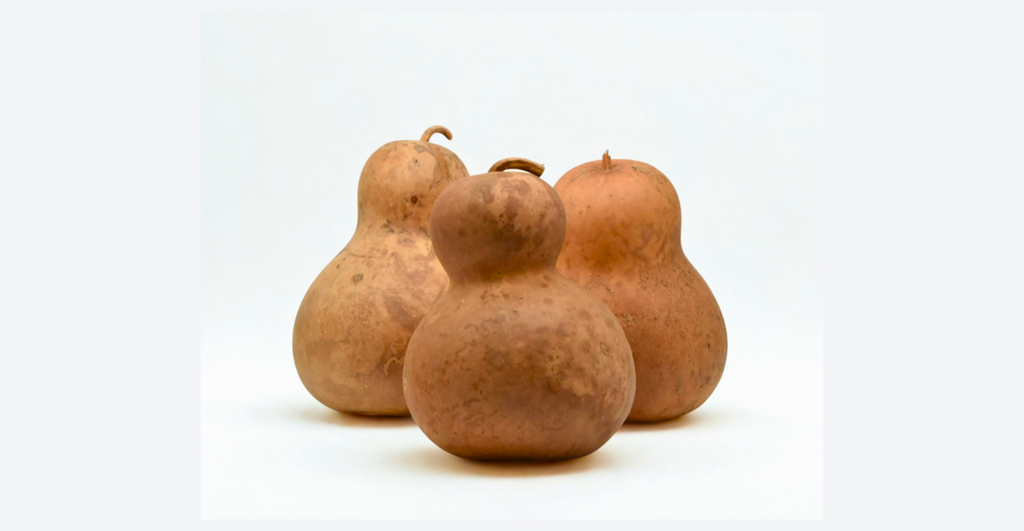 Dried Chinese bottle gourds in various sizes for crafting and decor