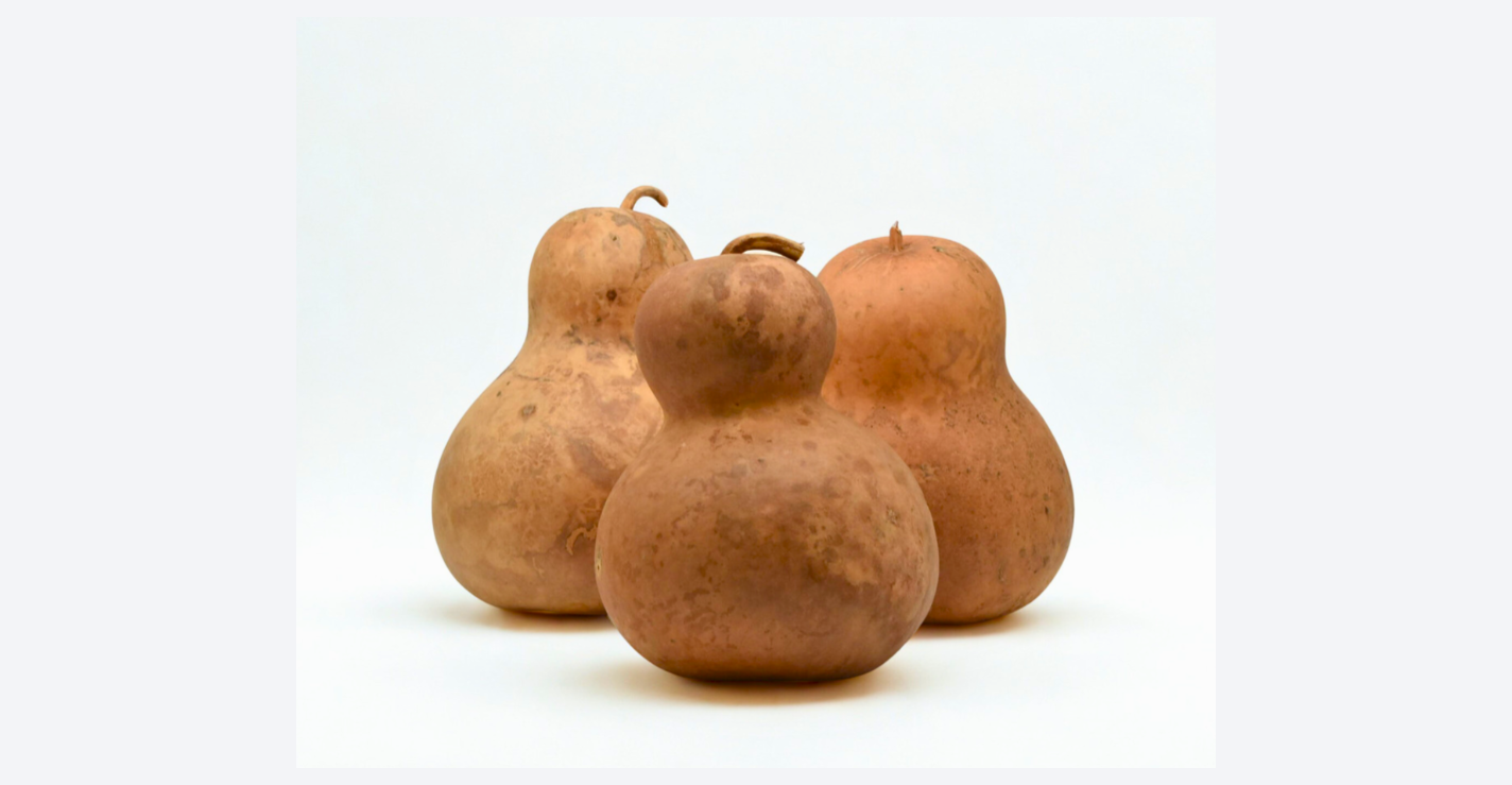 Dried Chinese Bottle Gourds – Natural Craft Gourds (6”, 8”, 9” Diameter)