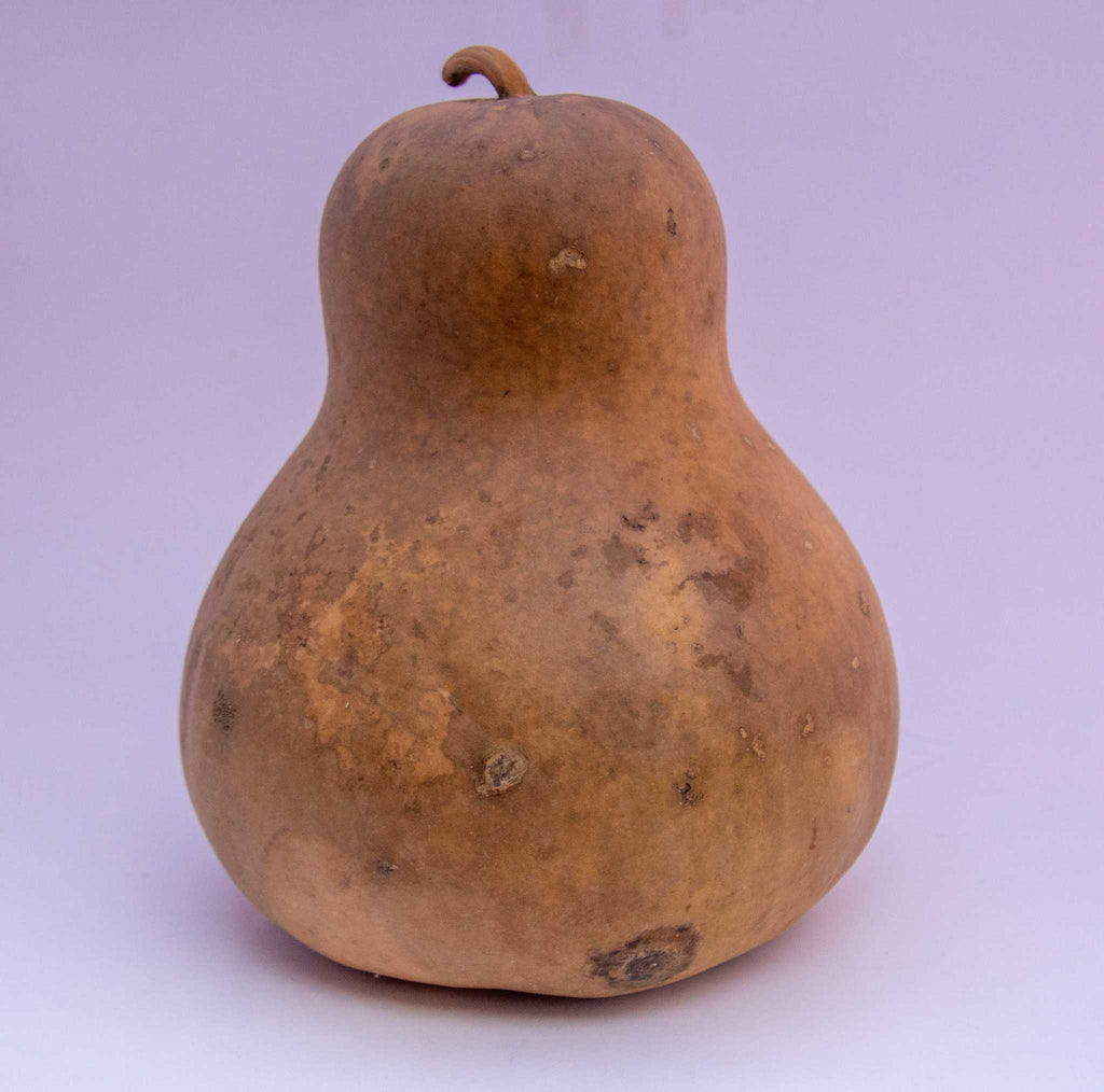 Natural dried Chinese bottle gourds in various sizes for crafting and decor