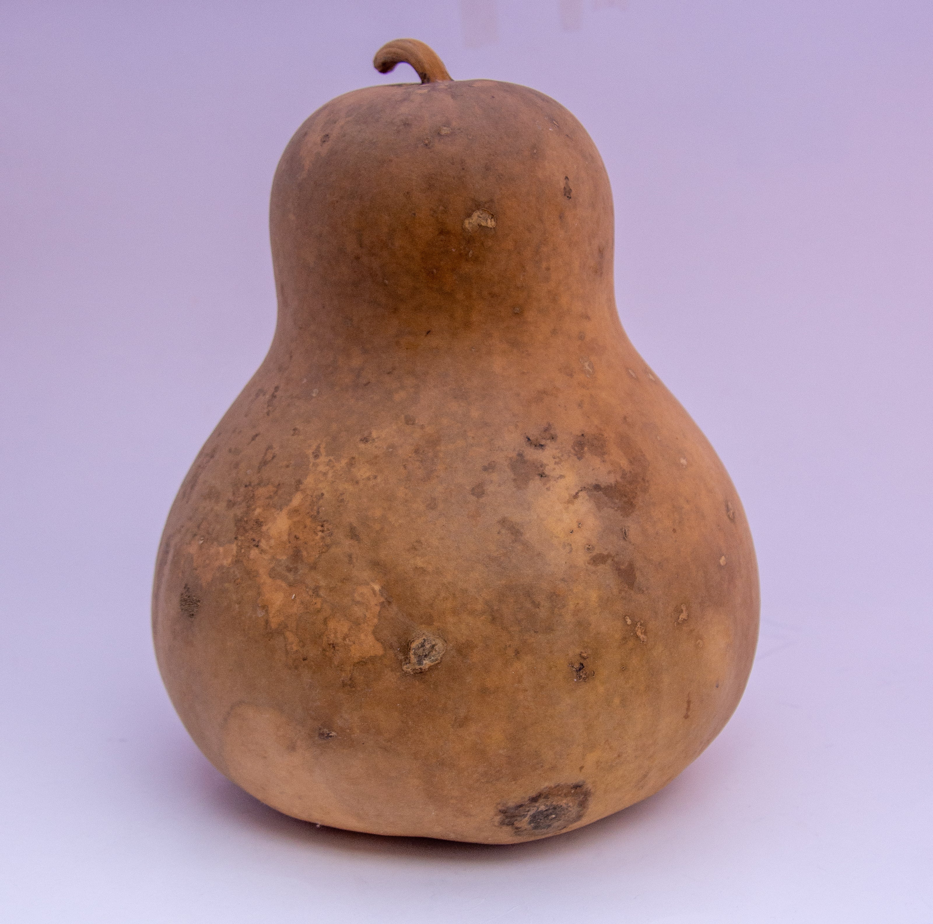 Dried Chinese Bottle Gourds – Natural Craft Gourds (6”, 8”, 9” Diameter)