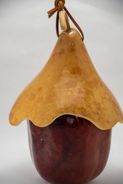 Apple Gourd Birdhouse with Hat – Handcrafted, Natural Top, Wren Size
