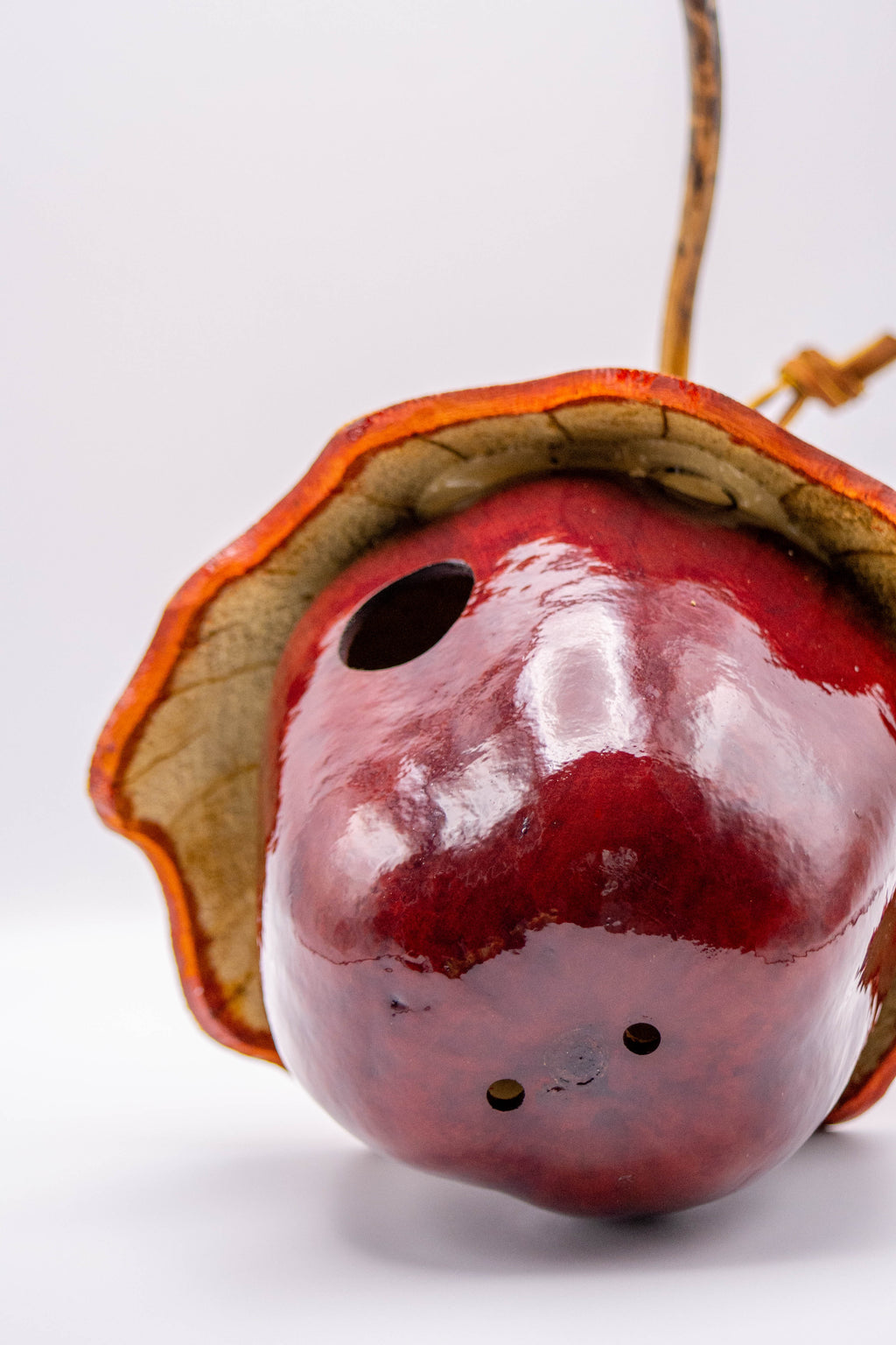 Apple Gourd Birdhouse with Hat – Handcrafted, Natural Top, Wren Size