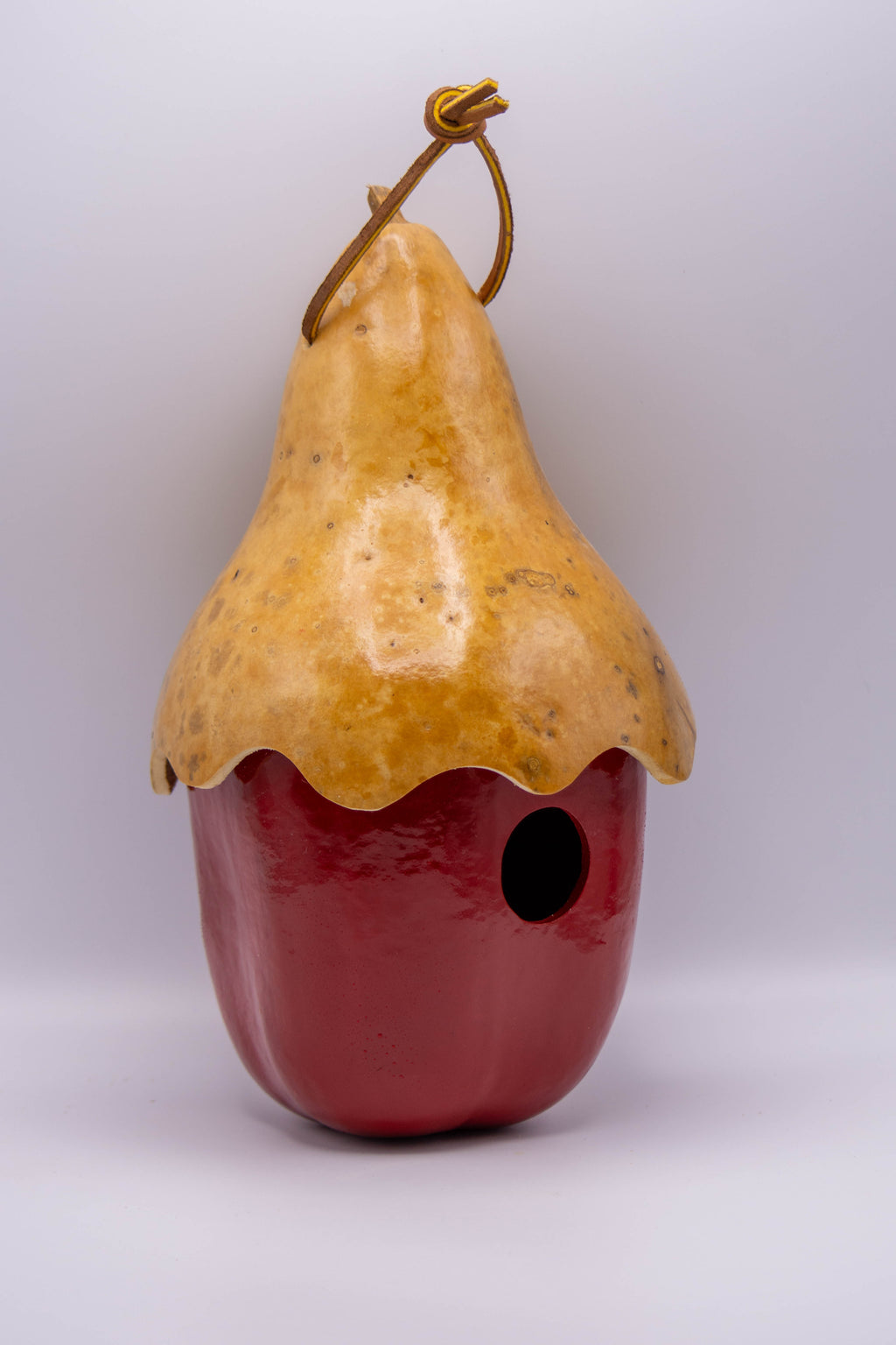 Apple Gourd Birdhouse with Hat – Handcrafted, Natural Top, Wren Size