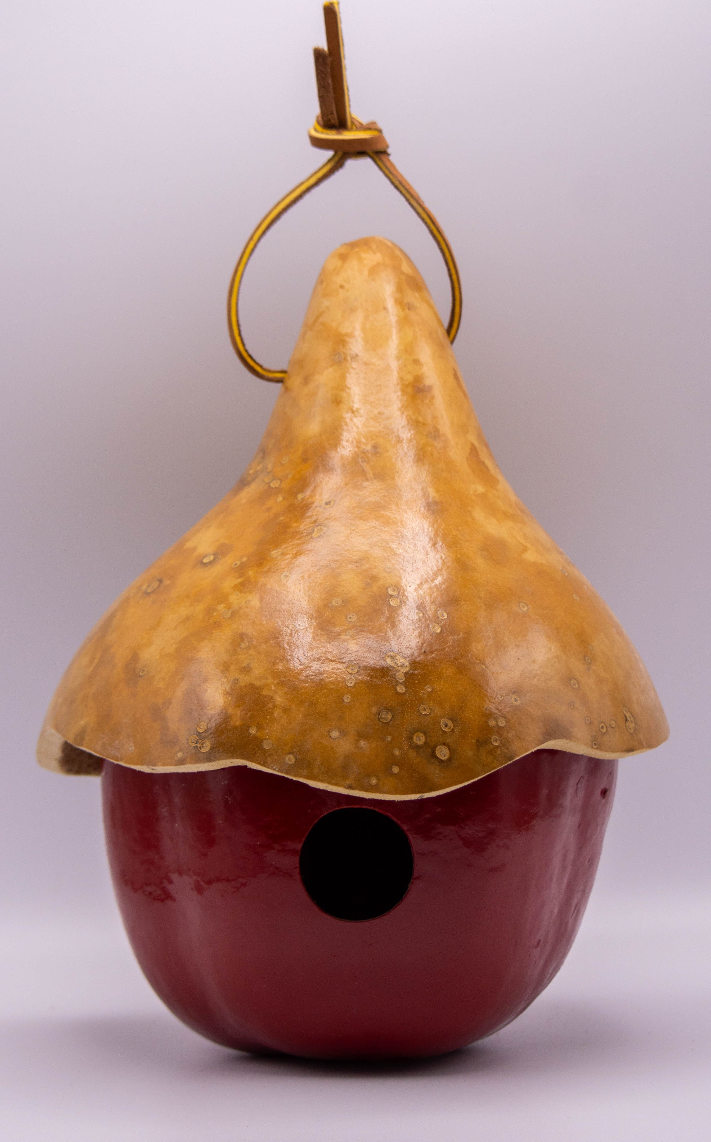 Apple Gourd Birdhouse with Hat – Handcrafted, Natural Top, Wren Size