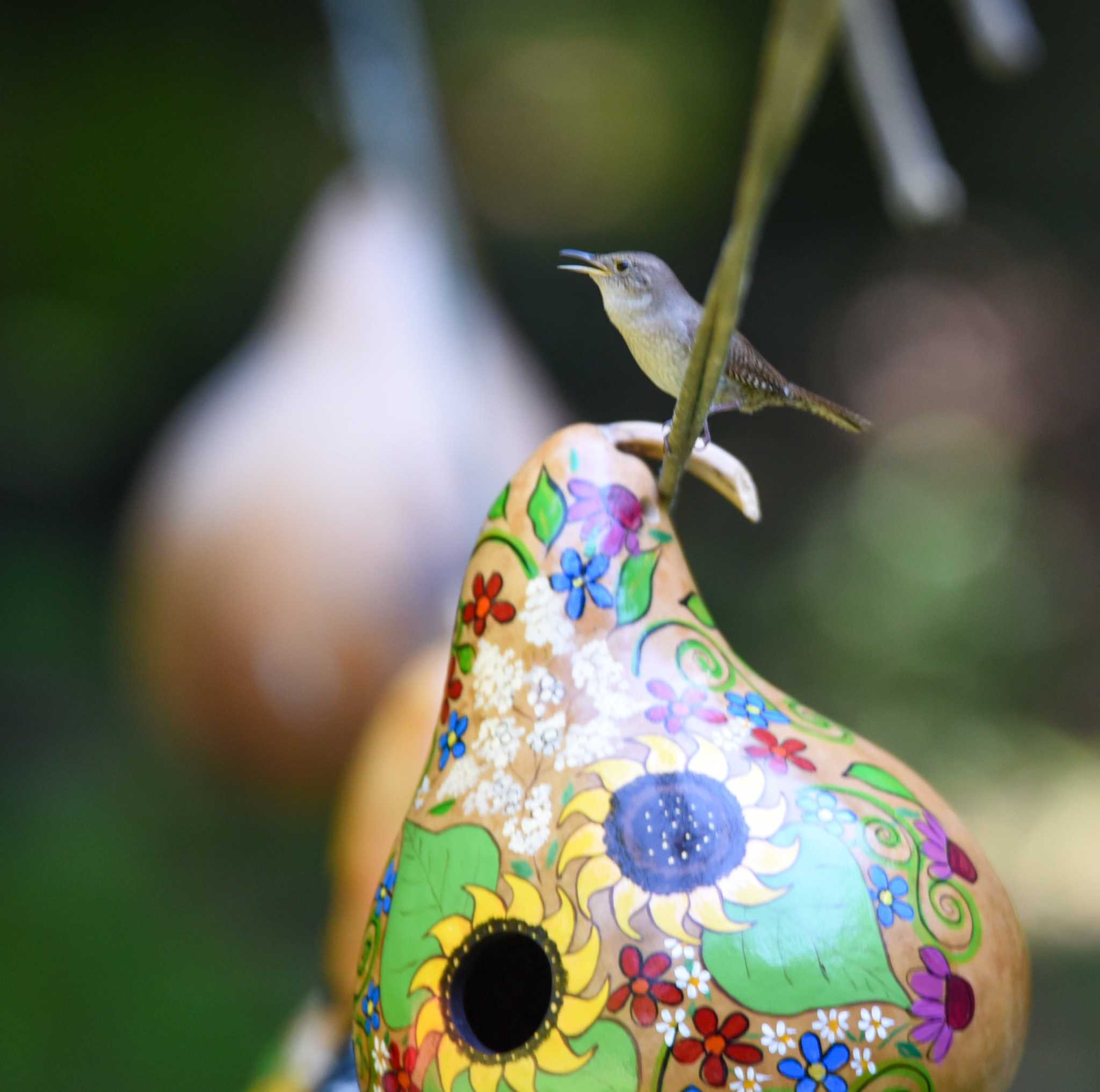 Hand Painted Hummingbird Gourd Birdhouse – Outdoor Garden Decor for Wrens & Chickadees