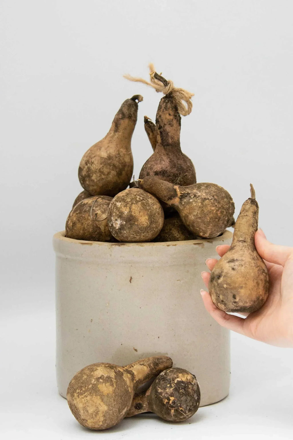 Primitive Mini Dipper Gourds – Bag of 24 Unwashed Antique Style