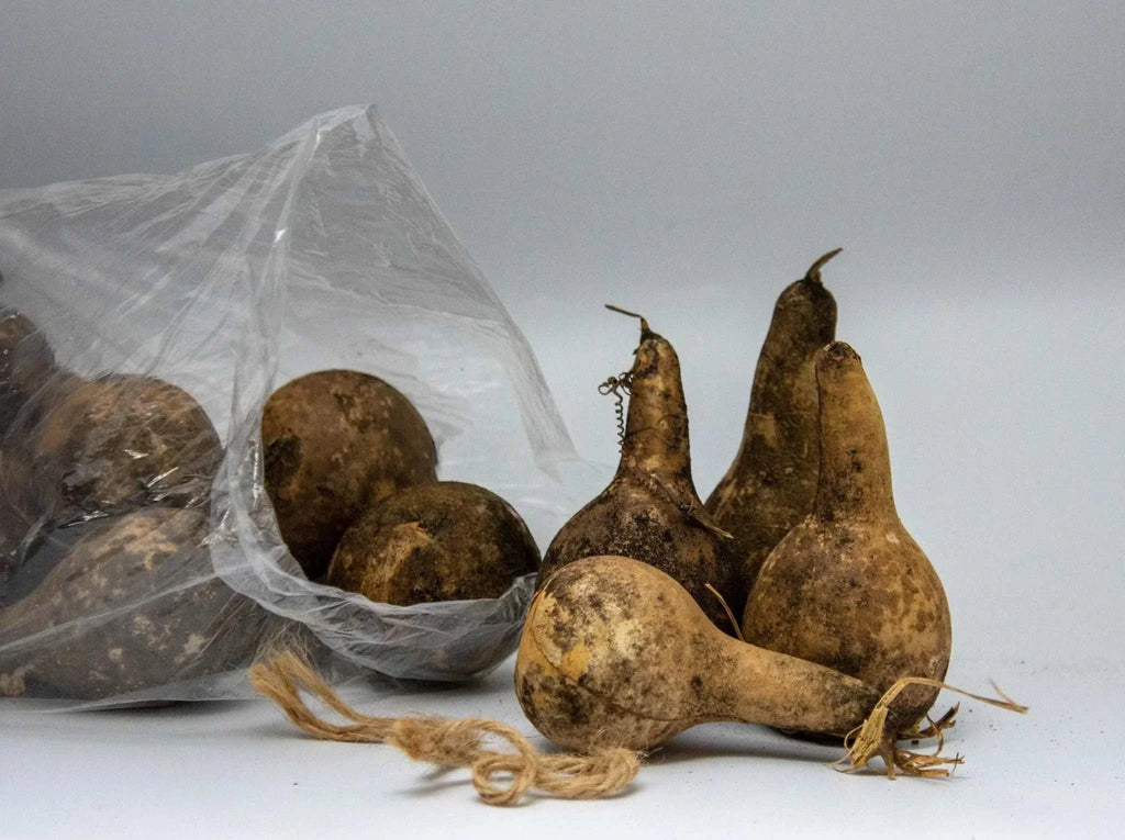 Primitive Mini Dipper Gourds – Bag of 24 Unwashed Antique Style