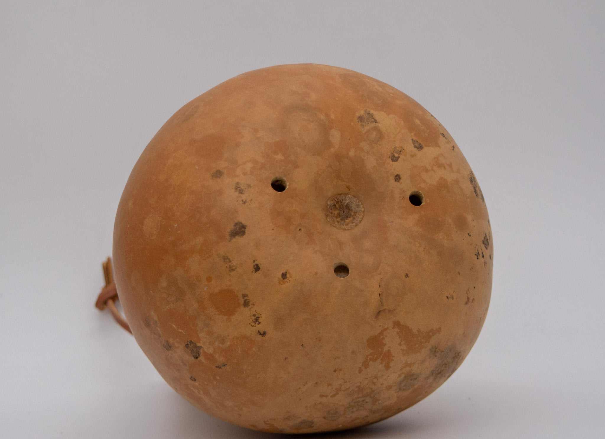 Unfinished gourd birdhouse with 1.5 inch entrance hole for bluebirds and swallows natural DIY design