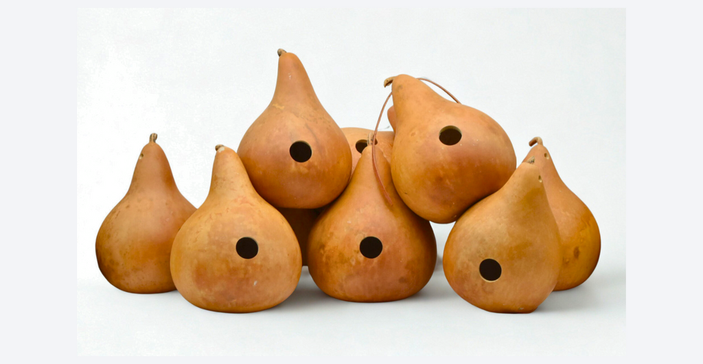 Unfinished gourd birdhouse with 1.5 inch entrance hole for bluebirds and swallows