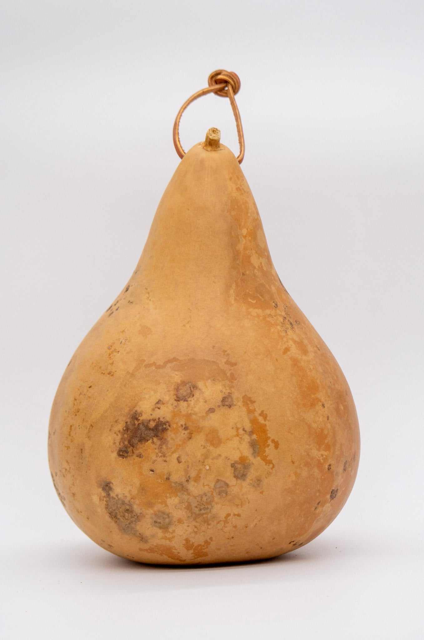 Unfinished gourd birdhouse with 1.5 inch entrance hole for bluebirds, swallows, and wrens natural DIY craft