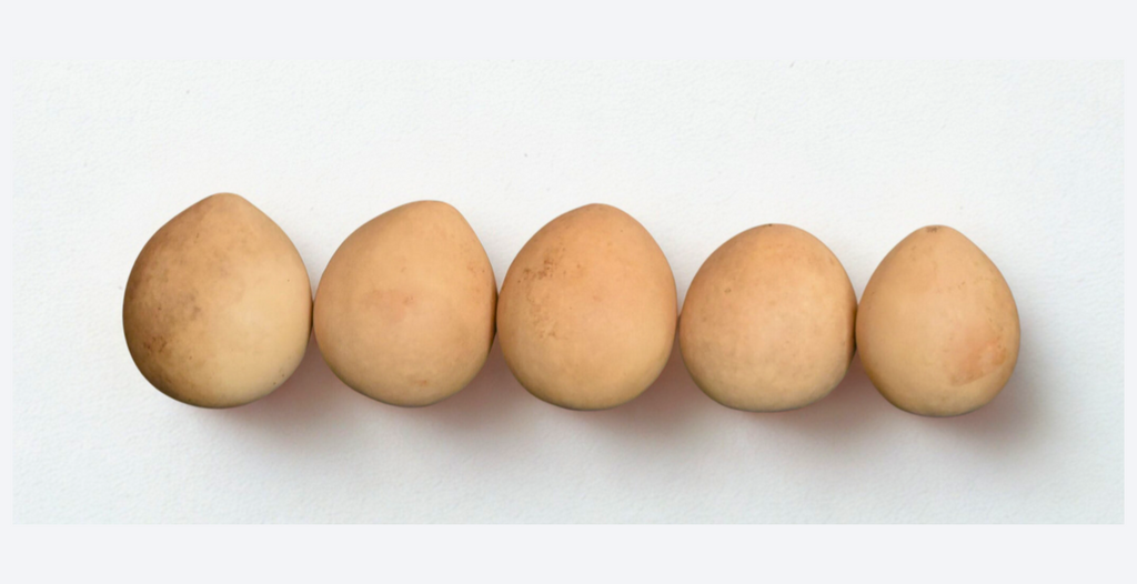 Natural Squatty Egg Gourds – Small Craft Gourds for Painting & Folk Art