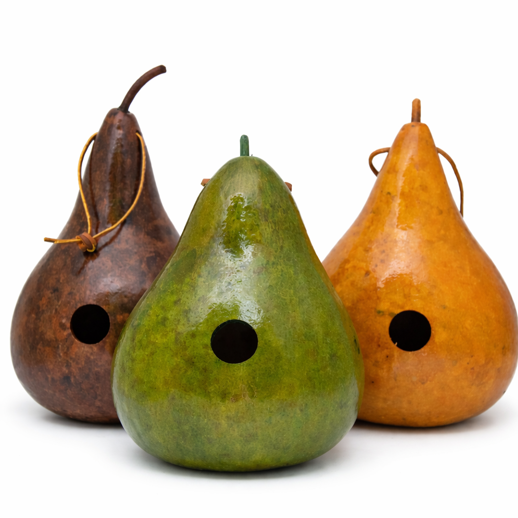 Handcrafted gourd birdhouses for wrens and chickadees in brown, green, and yellow