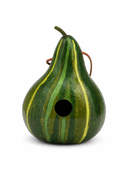 Handmade green striped gourd birdhouse with 1.5" entrance hole for wrens and chickadees, designed for outdoor hanging.