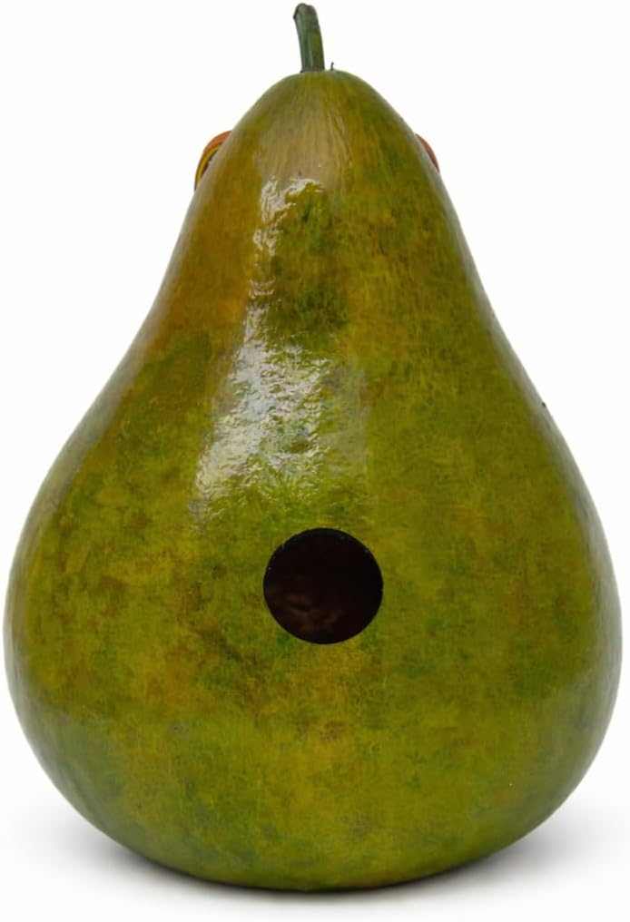 Hand Dyed Gourd Birdhouse – Natural & 6 Color Options – 1.5" Wren House