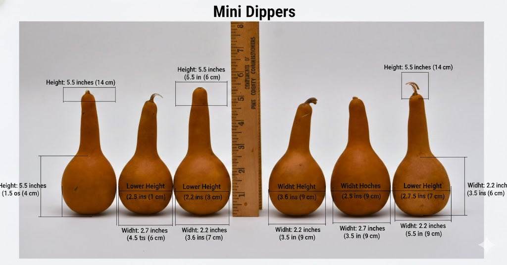 Mini dipper gourds natural dried craft gourds in bulk packs for painting and ornament making