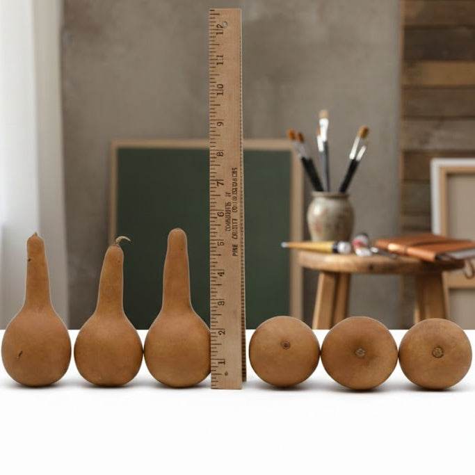 Mini dipper gourds small natural dried crafts in bulk packs