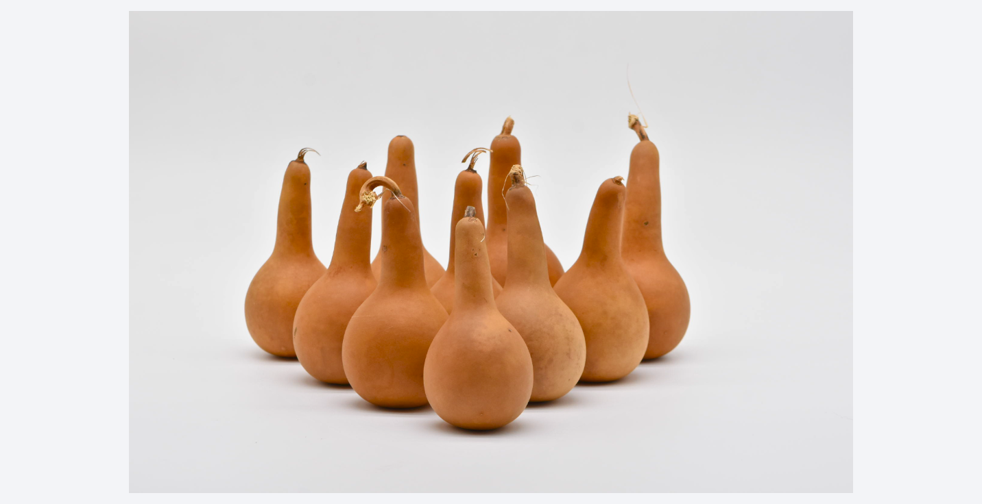 Mini dipper gourds in various pack sizes for crafting and holiday decorations