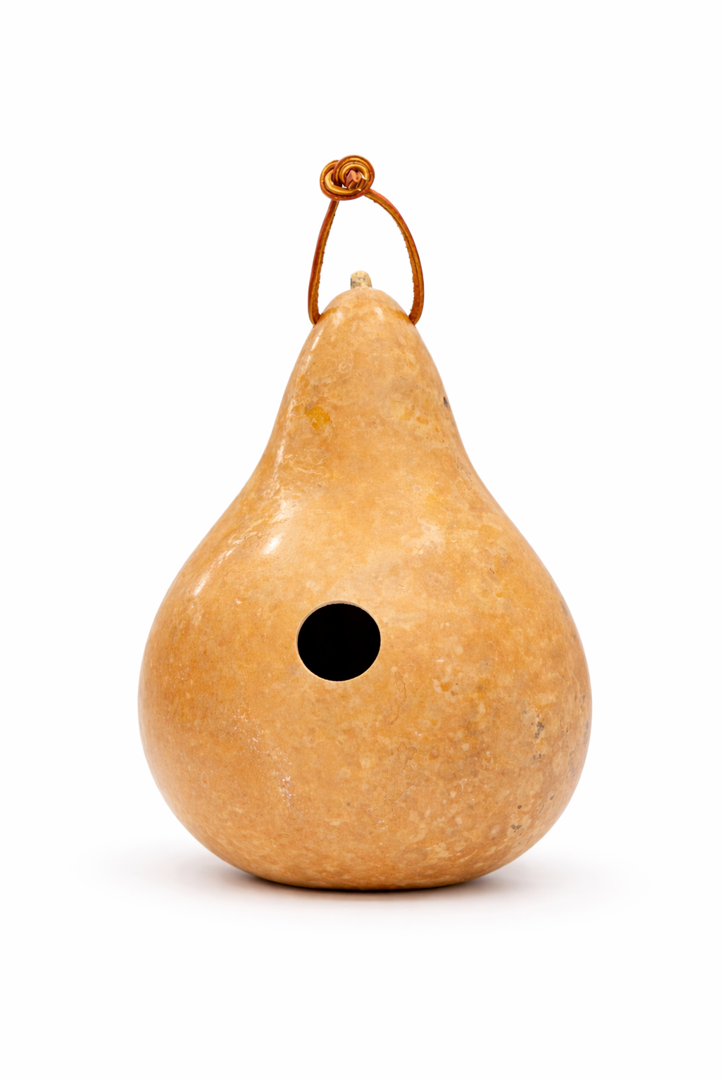 Hand dyed gourd birdhouse natural with white background