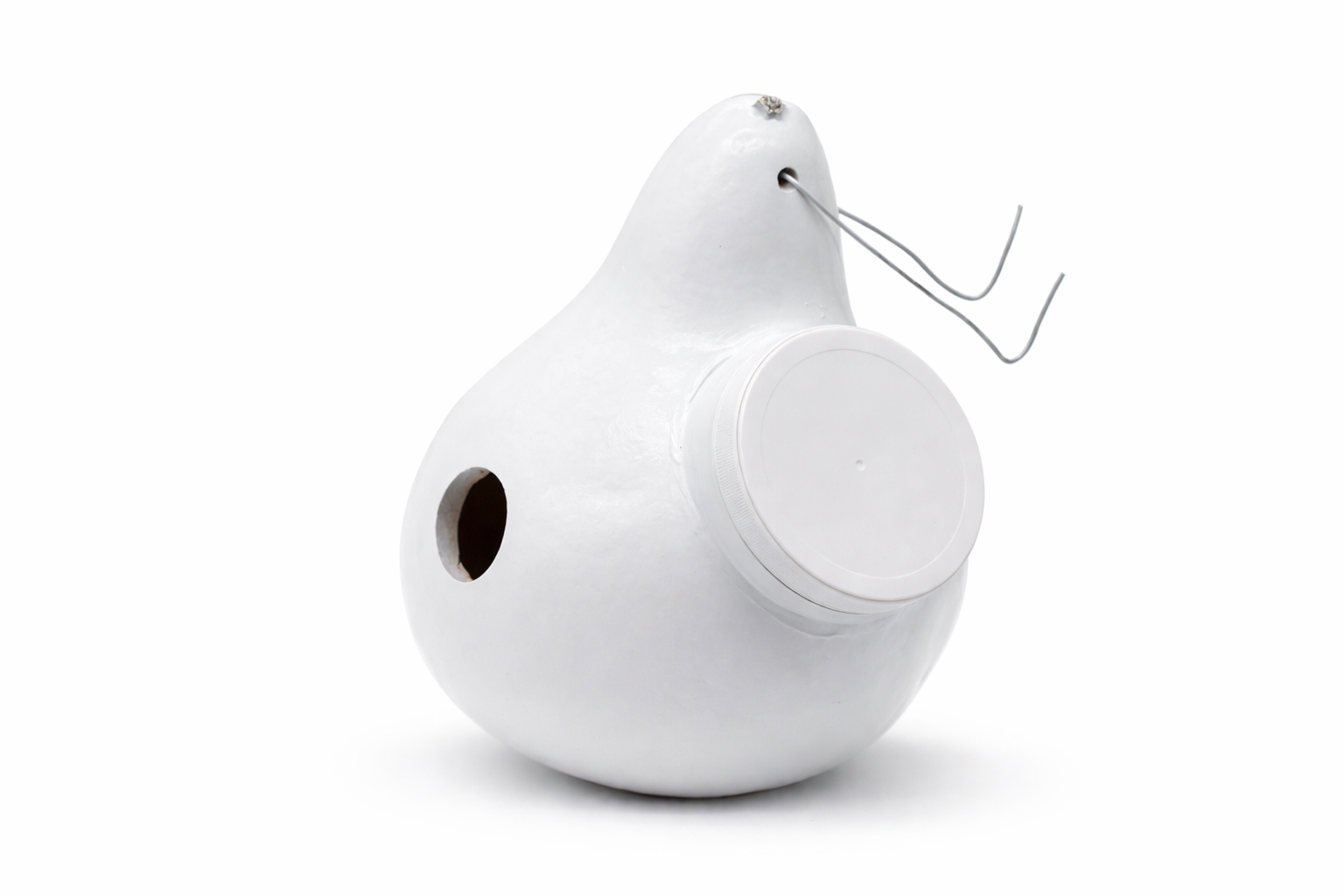 Set of 10 white Purple Martin Gourd Birdhouses with 12–14" natural outdoor nesting gourds and 2-inch entrance holes