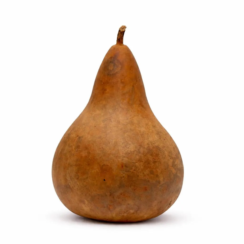 Dried Purple Martin Gourd – Natural Rustic Craft Gourd (5–10" Diameter)