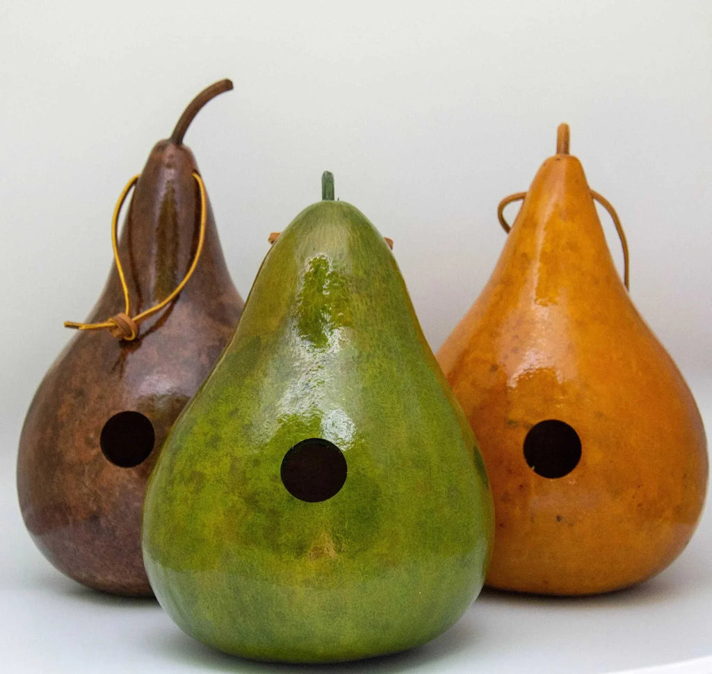Hand dyed gourd birdhouse with natural texture and 1.5" wren entrance hole in multiple color options