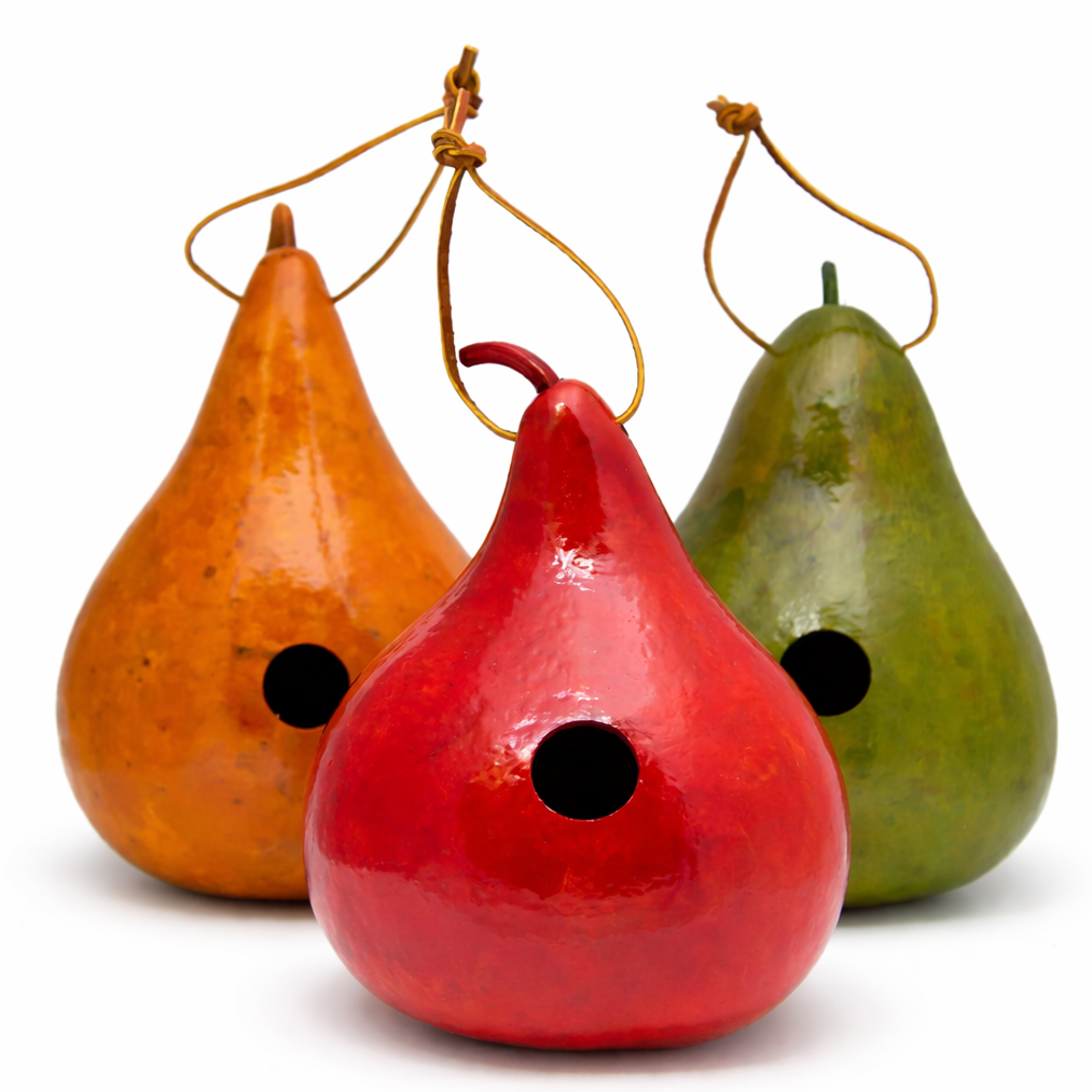 Hand-painted gourd birdhouse -Colorful hand painted gourd birdhouses in red, golden yellow, and lime green