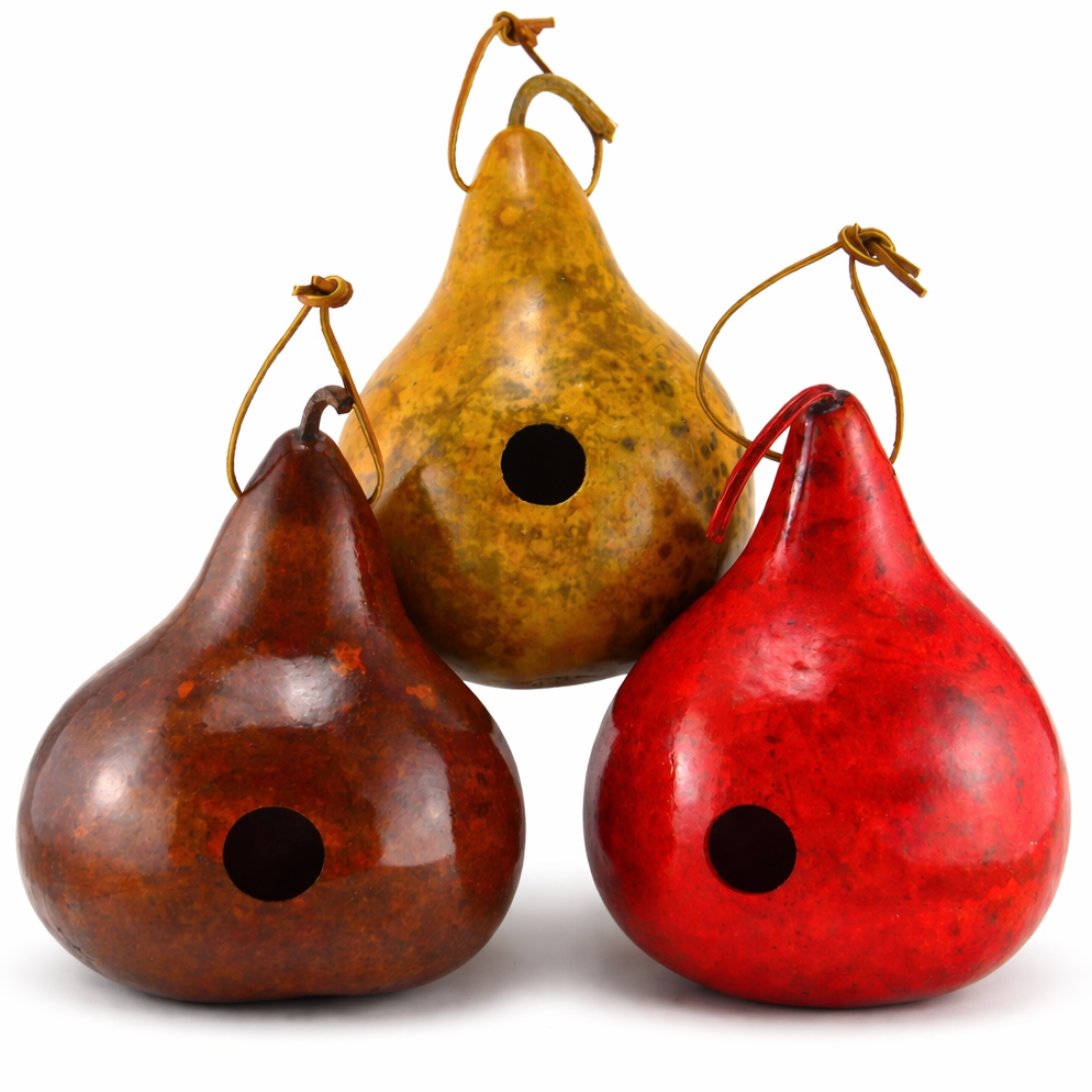 Set of 3 Gourd Birdhouses Mahgoany, Natural, Red 1.5" hole white background